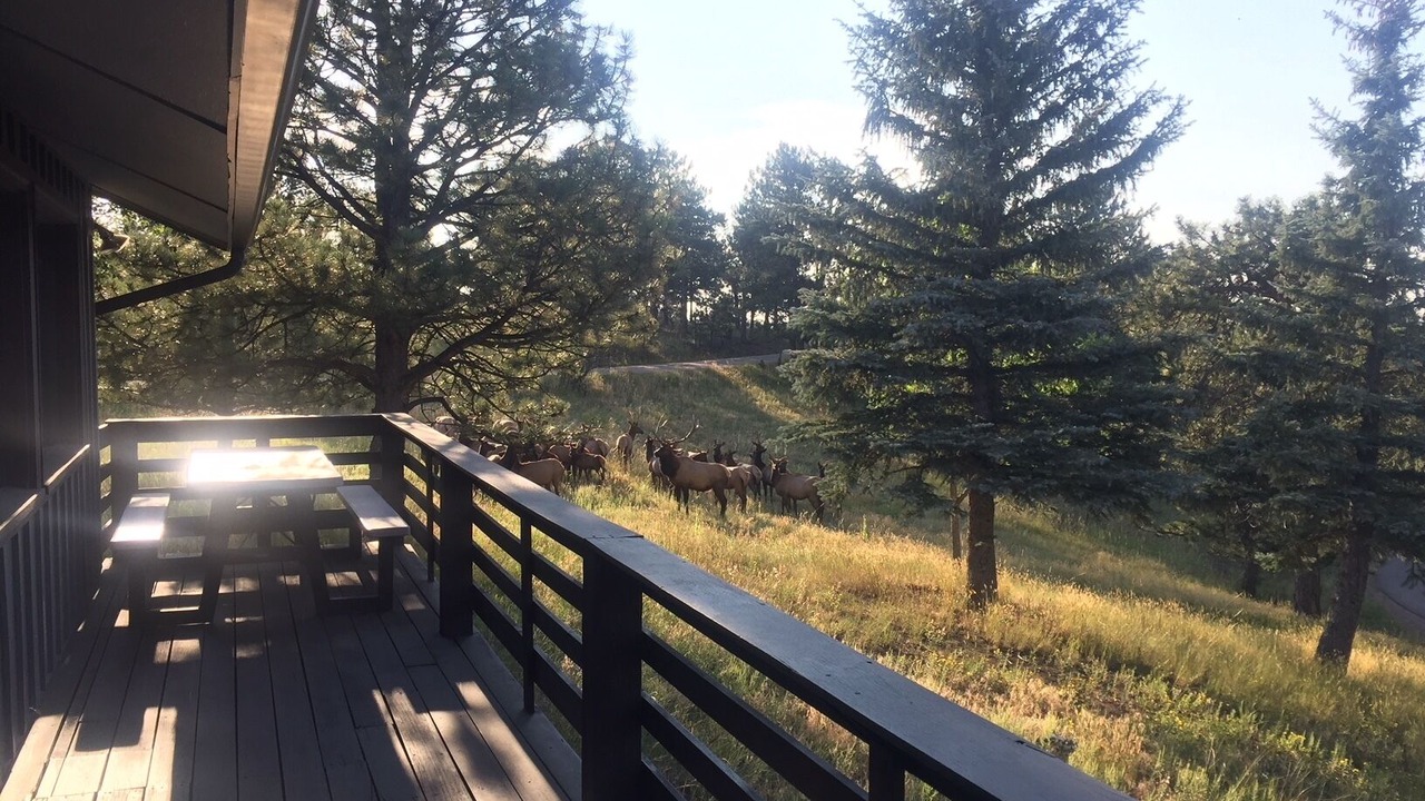 Photo of Outdoor in Golden