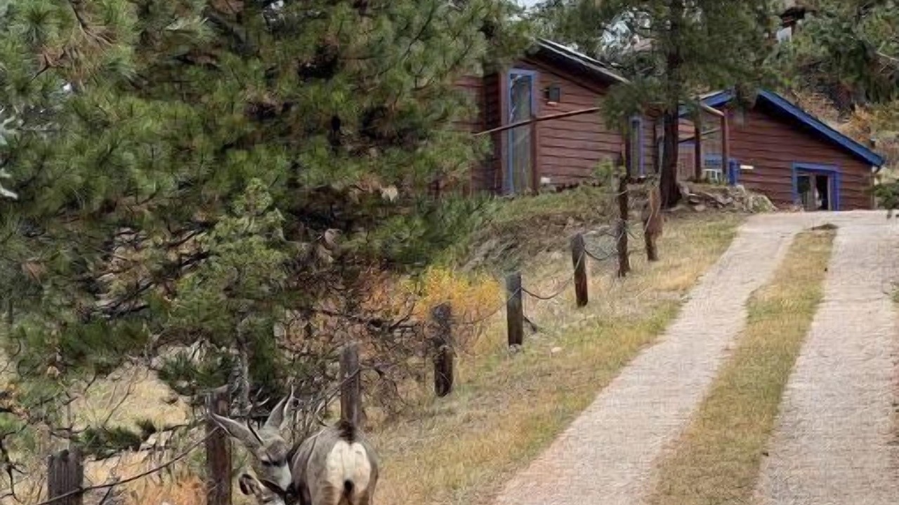 Photo of Outdoor in Evergreen Meadows