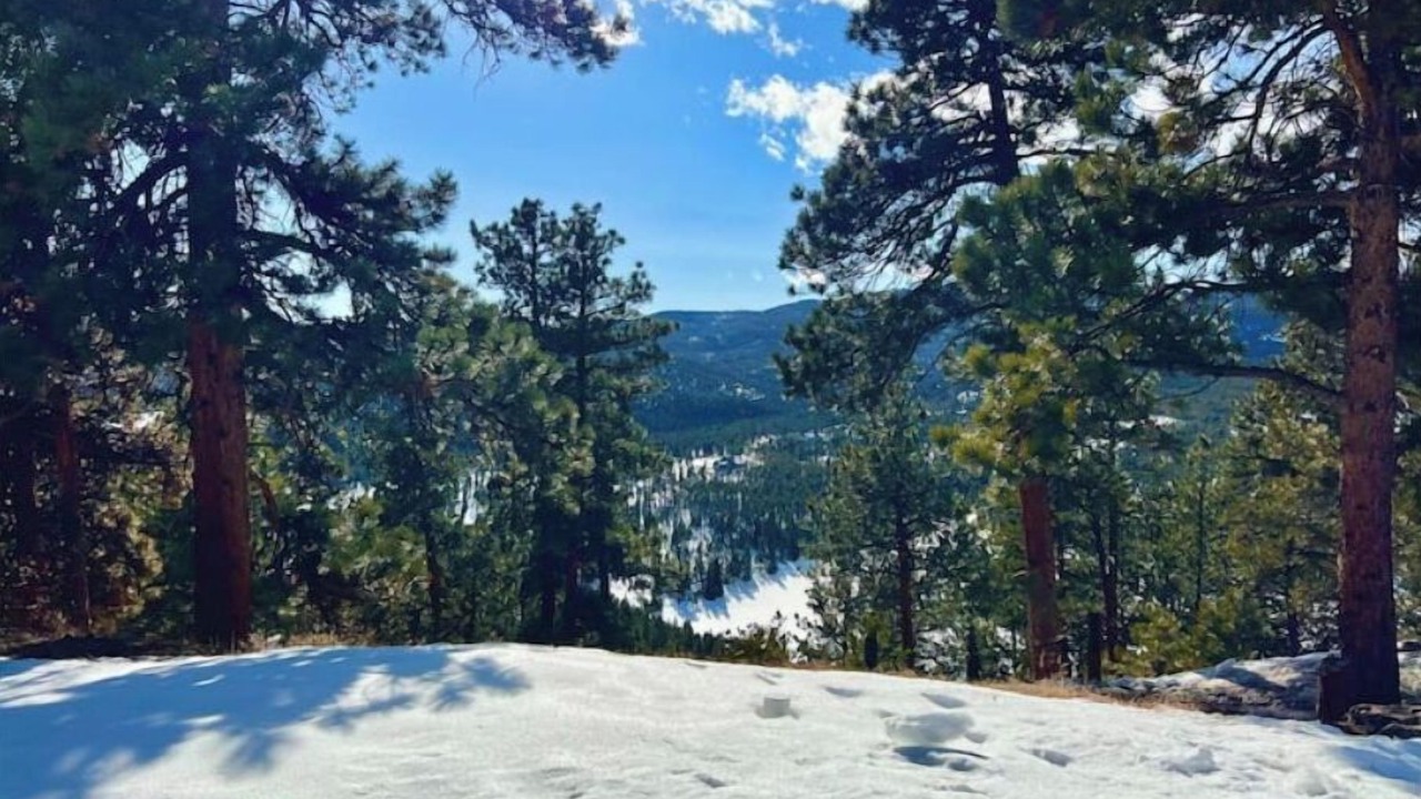 Photo of Outdoor in Evergreen Meadows