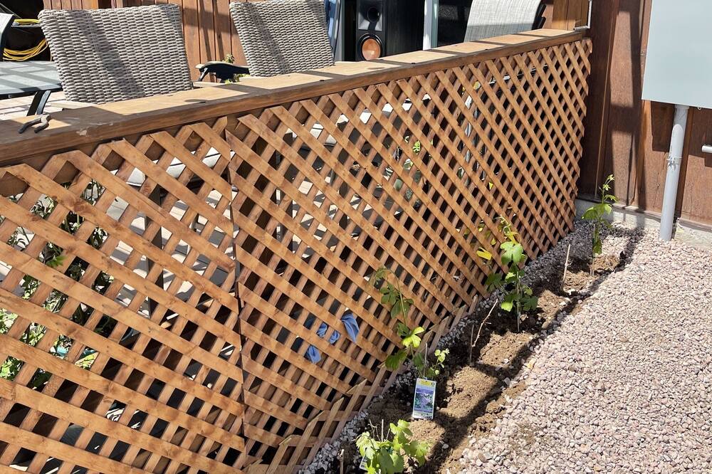 Photo of Outdoor in Colorado City