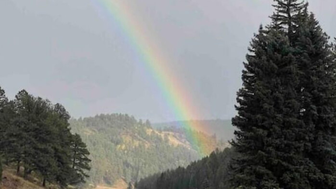 Photo of Outdoor in Conifer Mountain and Meadows