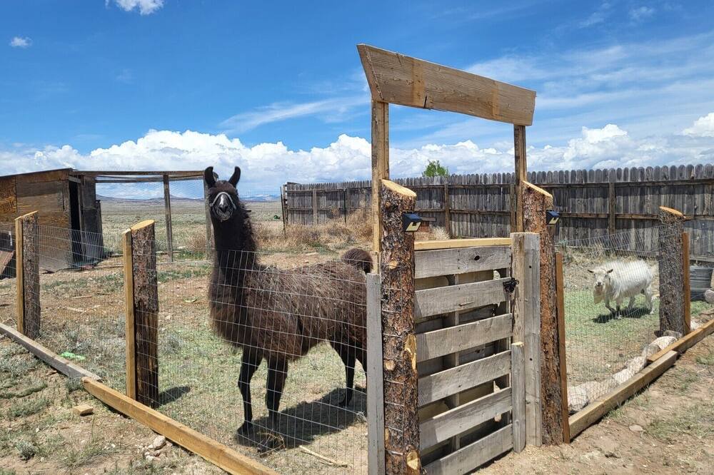 Photo of Outdoor in Monte Vista