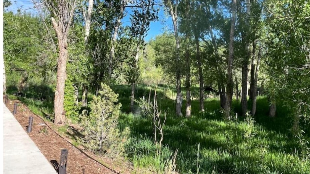 Photo of Outdoor in La Veta
