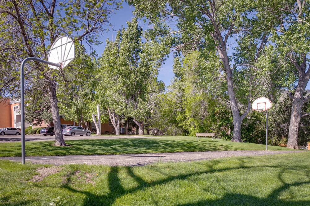 Photo of Outdoor in Golden