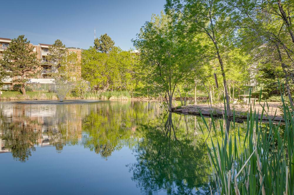 Photo of Outdoor in Golden