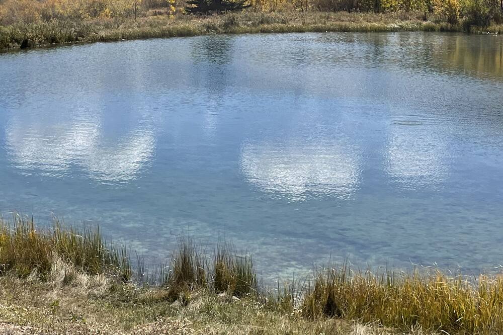 Photo of Outdoor in Warm Springs