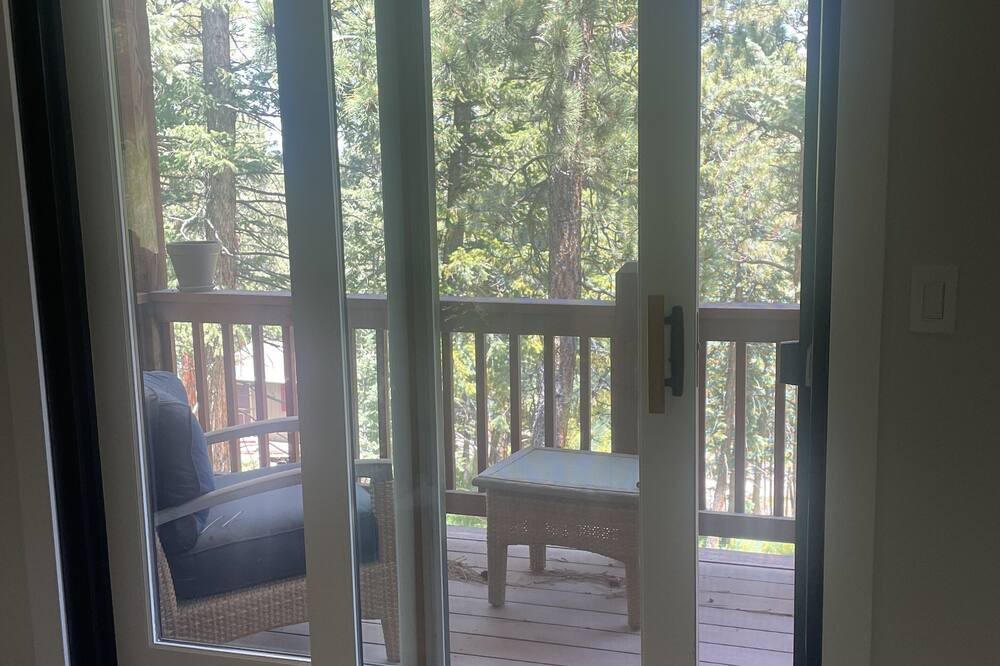 Photo of Others in North Central Evergreen