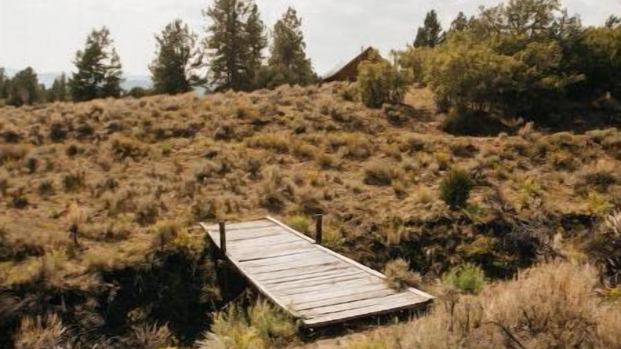 Photo of Outdoor in Salida