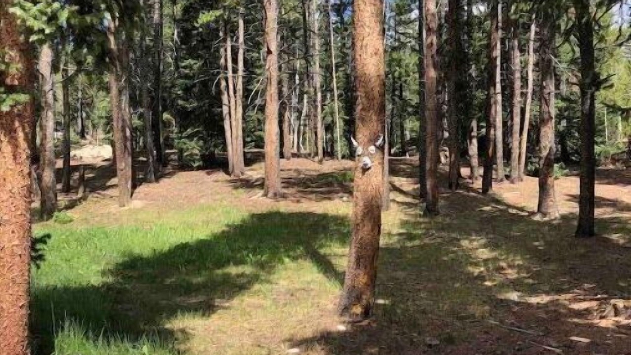Photo of Outdoor in Alma