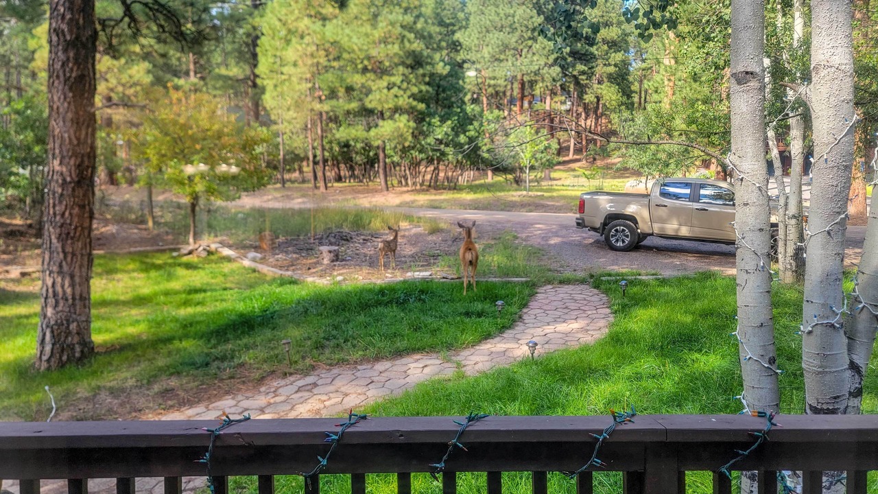Photo of Others in Forest Lakes
