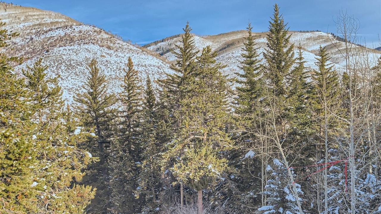 Photo of Outdoor in Highland Meadows
