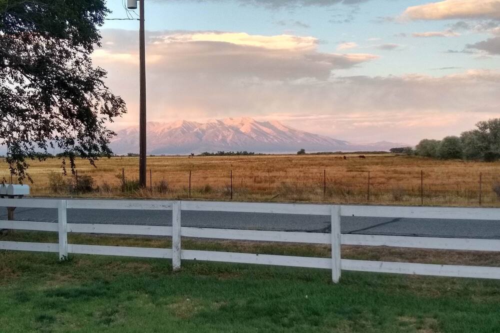 Photo of Others in Alamosa