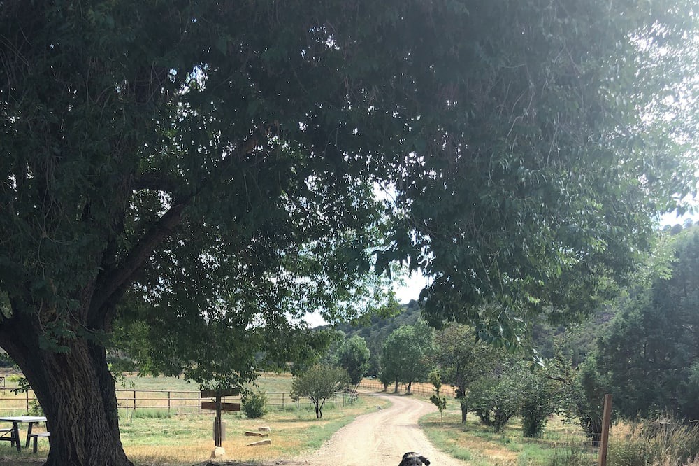 Photo of Outdoor in Hesperus