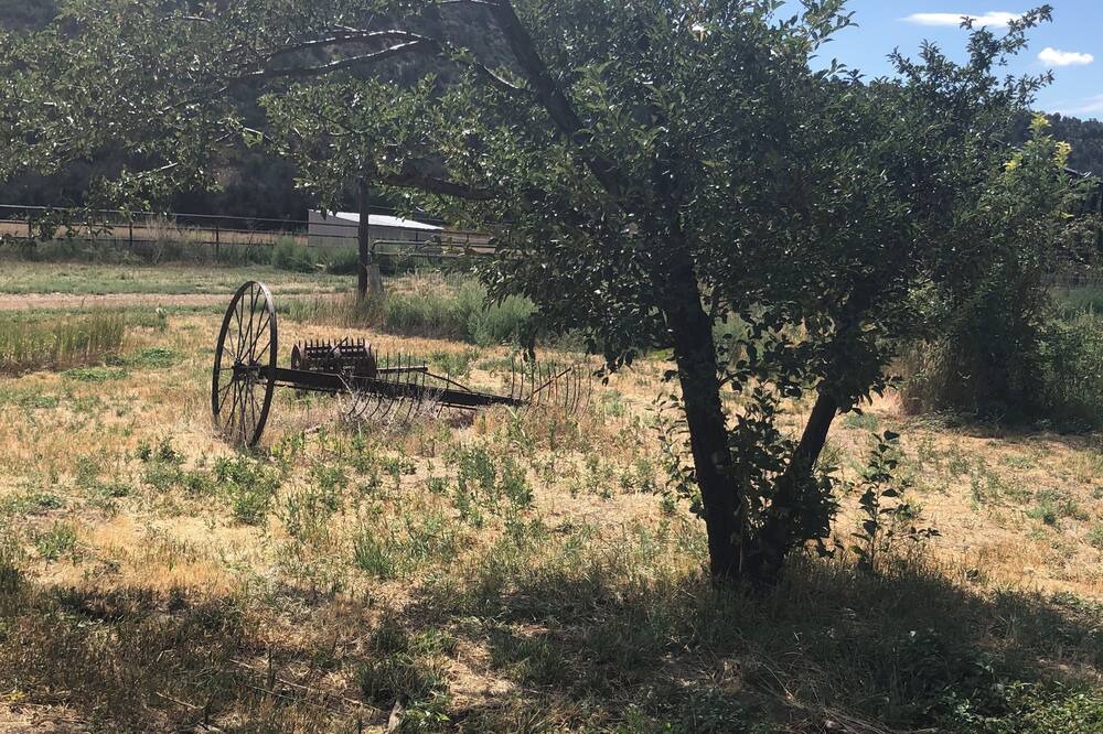 Photo of Outdoor in Hesperus