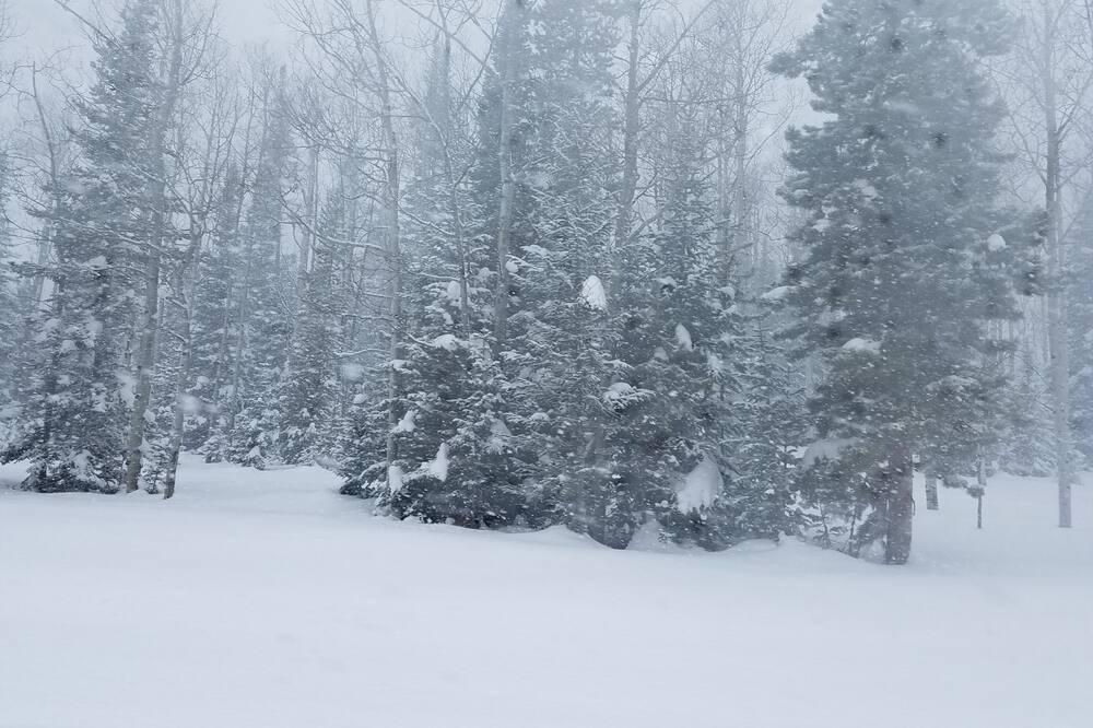Photo of Others in Clark