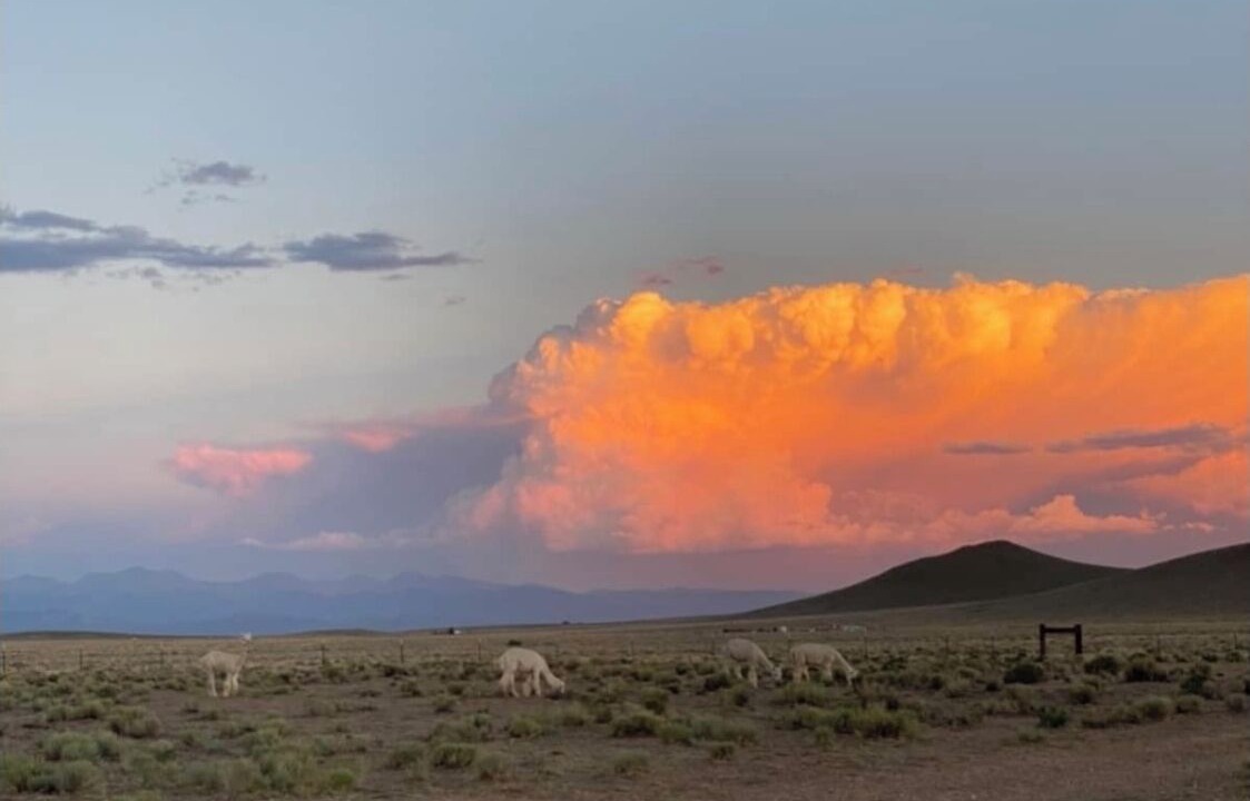 Photo of Outdoor in Blanca