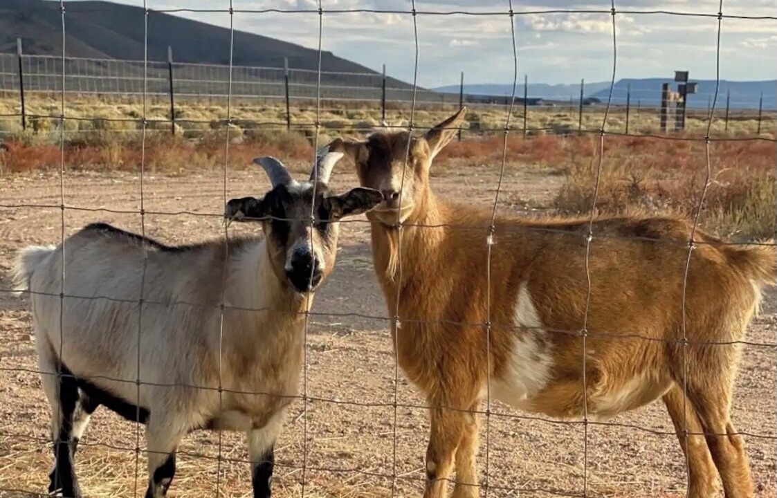 Photo of Outdoor in Blanca