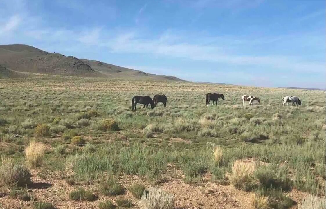 Photo of Others in Blanca