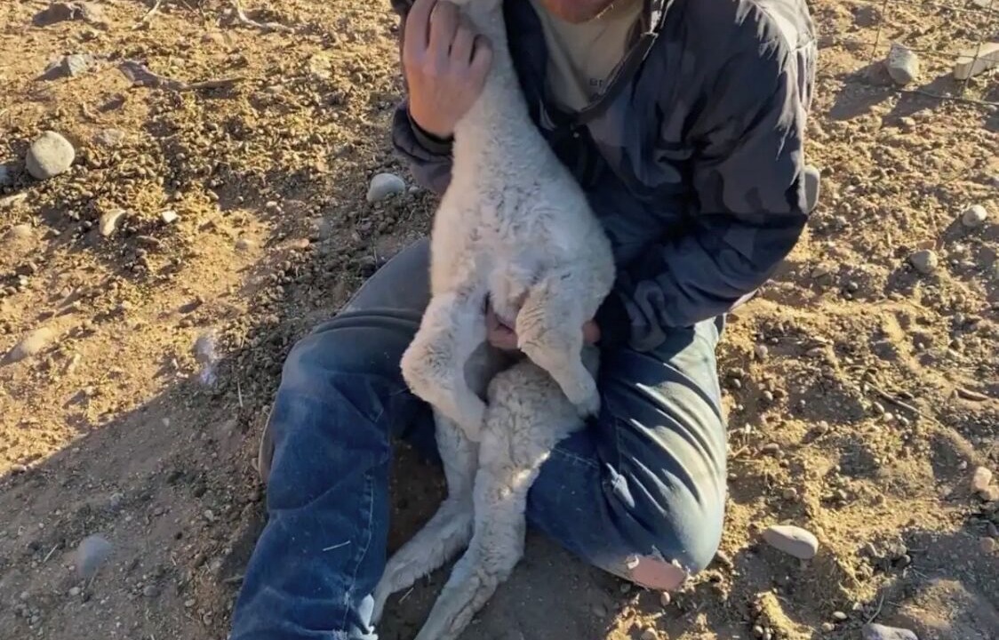 Photo of Others in Blanca