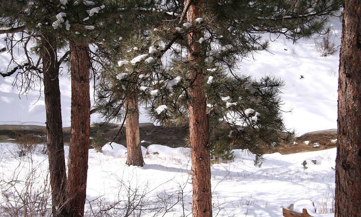 Photo of Others in Estes Park