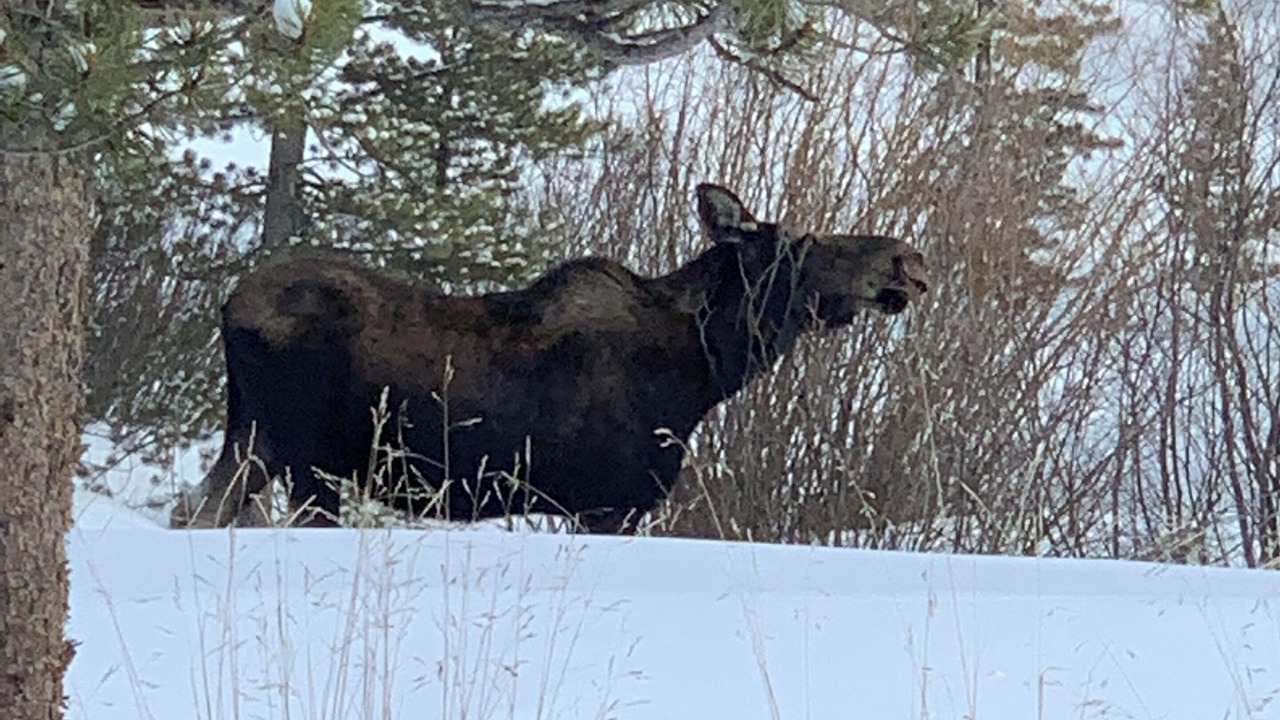 Photo of Others in Blue River