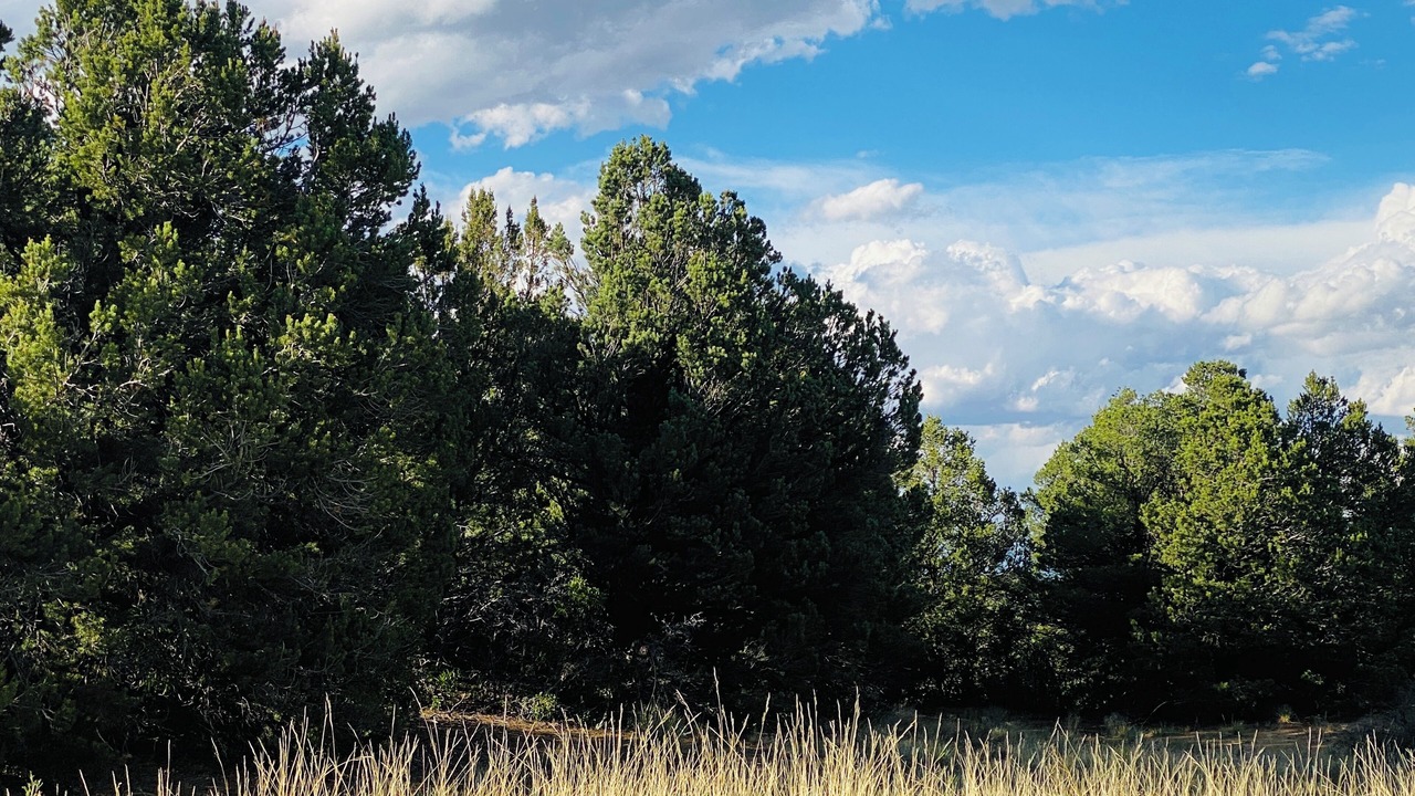 Photo of Others in Walsenburg