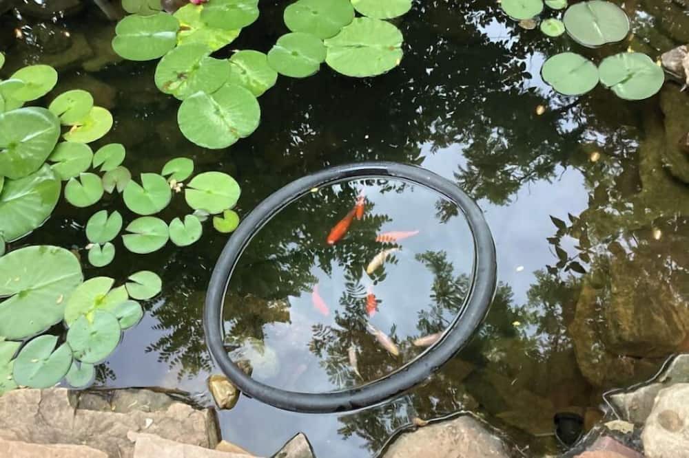 Photo of Outdoor in Lafayette