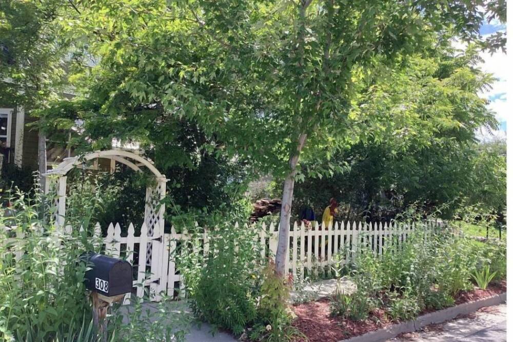 Photo of Outdoor in Lafayette