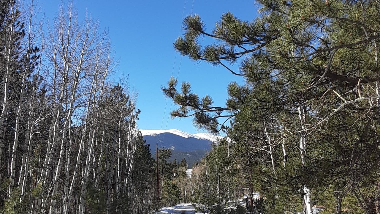Photo of Outdoor in Bailey