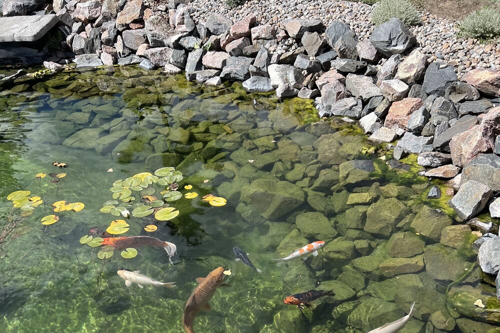 Photo of Others in Parker