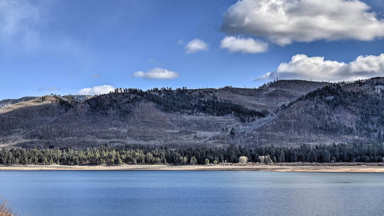 Photo of Others in Forest Lakes
