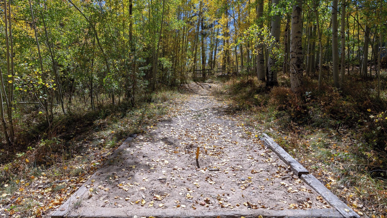 Photo of Outdoor in Wildernest