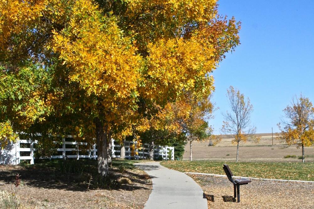 Photo of Outdoor in Mead