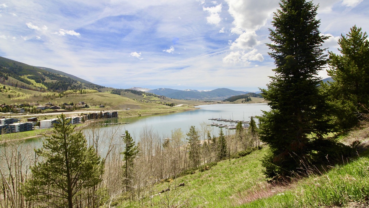 Photo of Others in Dillon