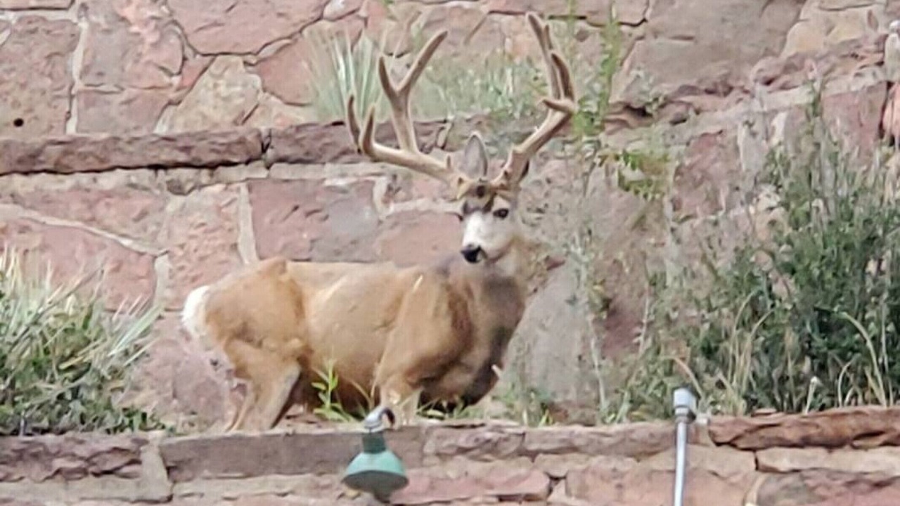 Photo of Outdoor in Manitou Springs