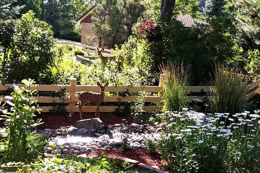 Photo of Outdoor in Ken Caryl Ranch Plains