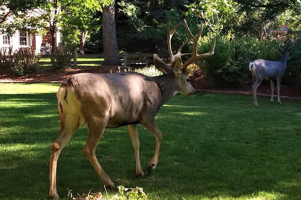 Photo of Outdoor in Ken Caryl Ranch Plains