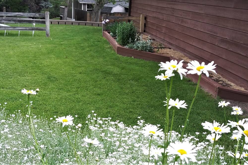 Photo of Outdoor in Ken Caryl Ranch Plains
