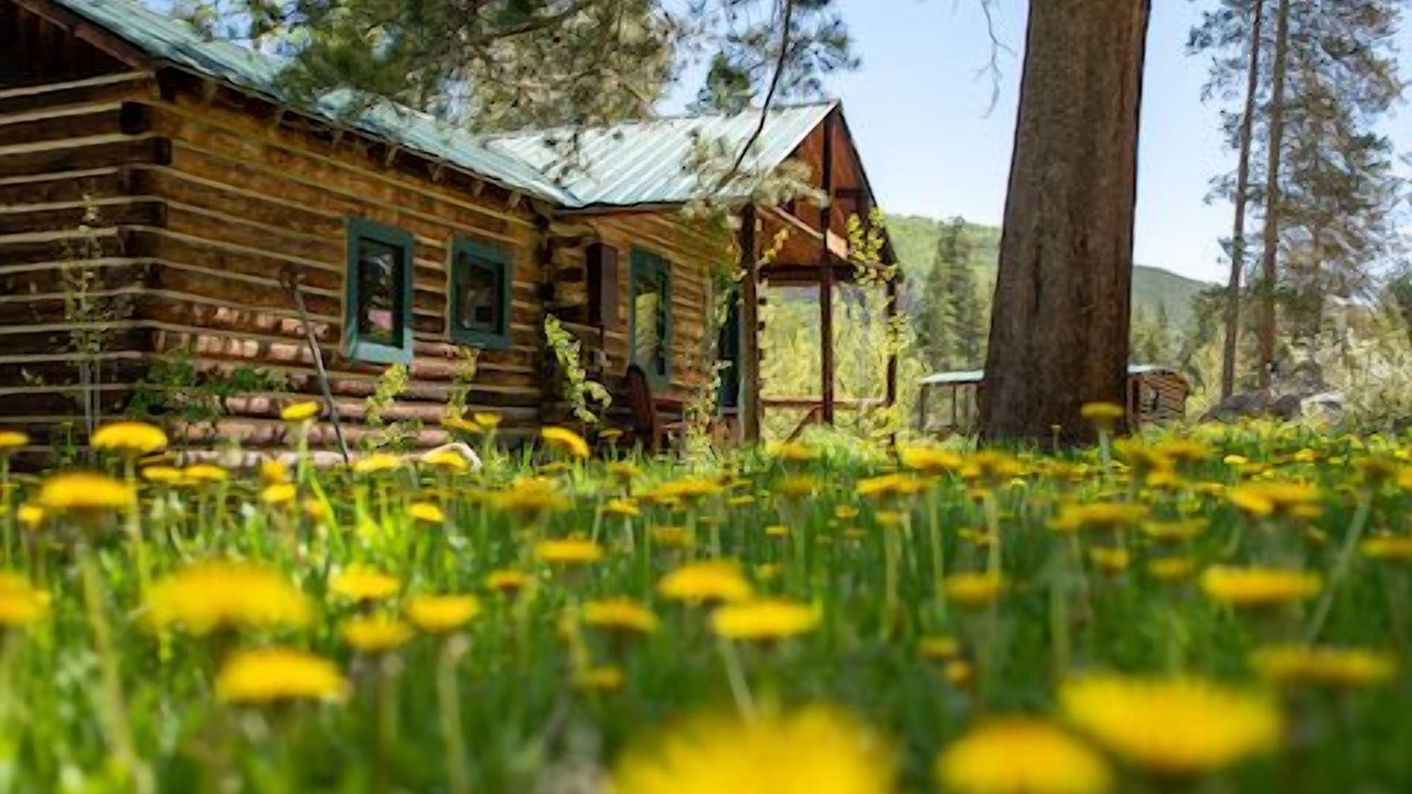 Photo of Others in Pitkin County