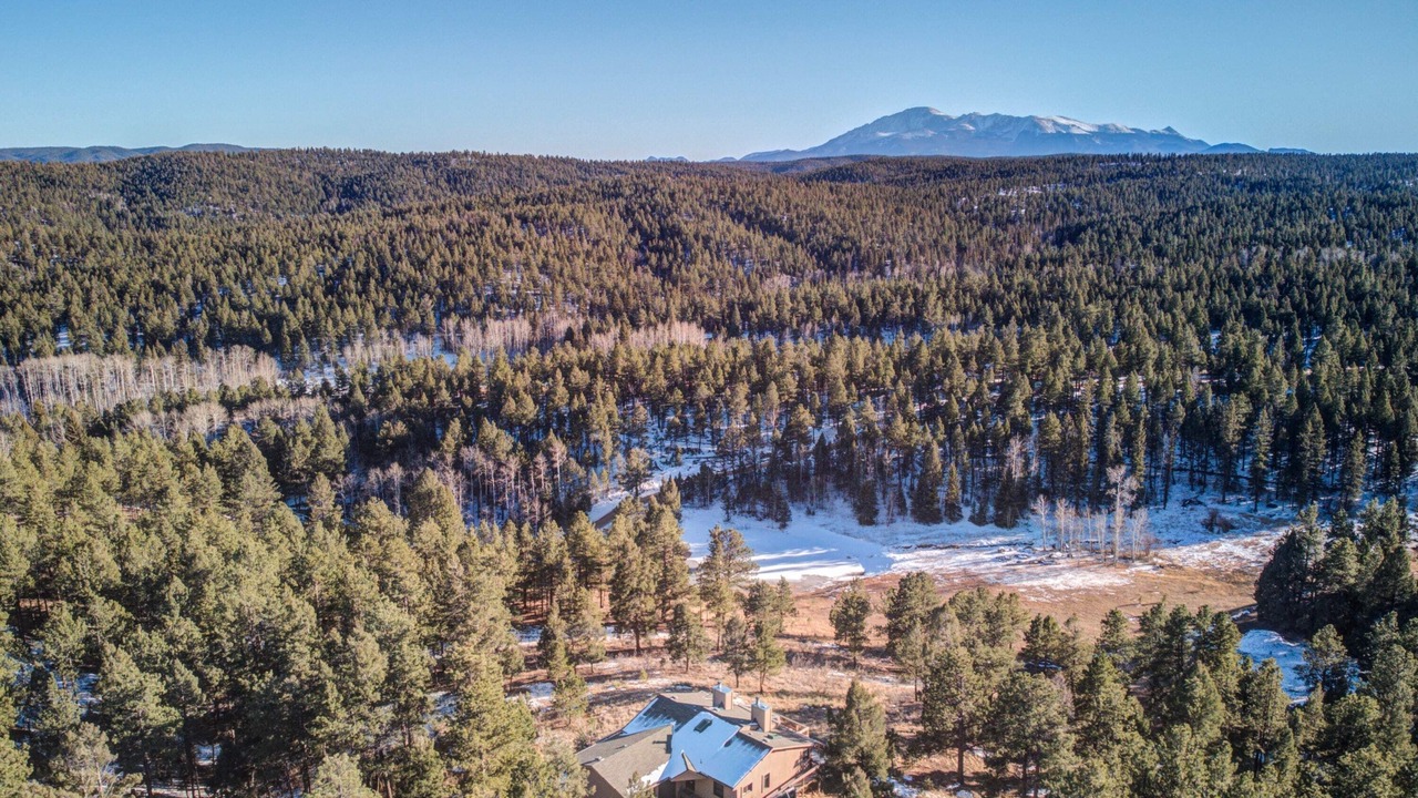Photo of Outdoor in Woodland Park