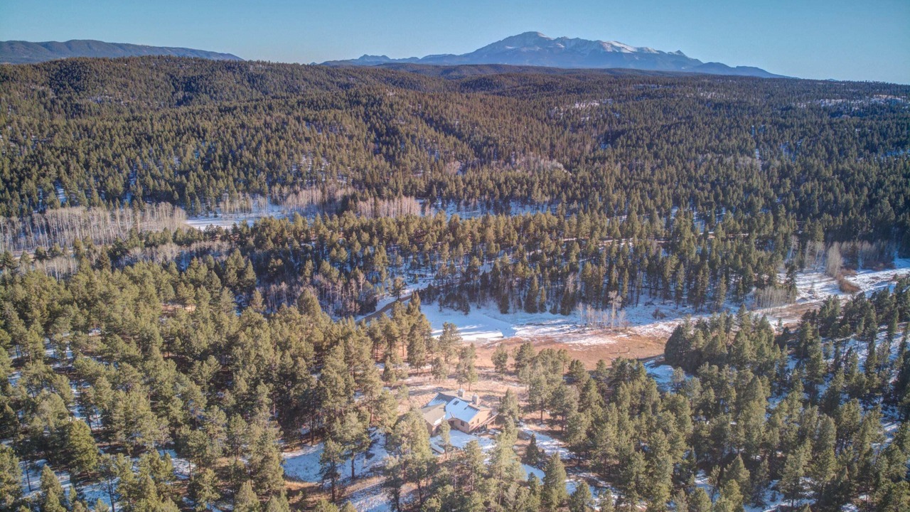 Photo of Outdoor in Woodland Park