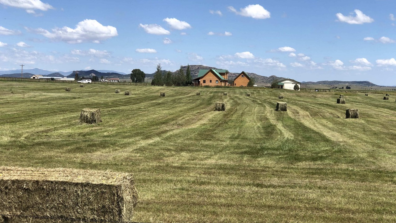 Photo of Others in Westcliffe