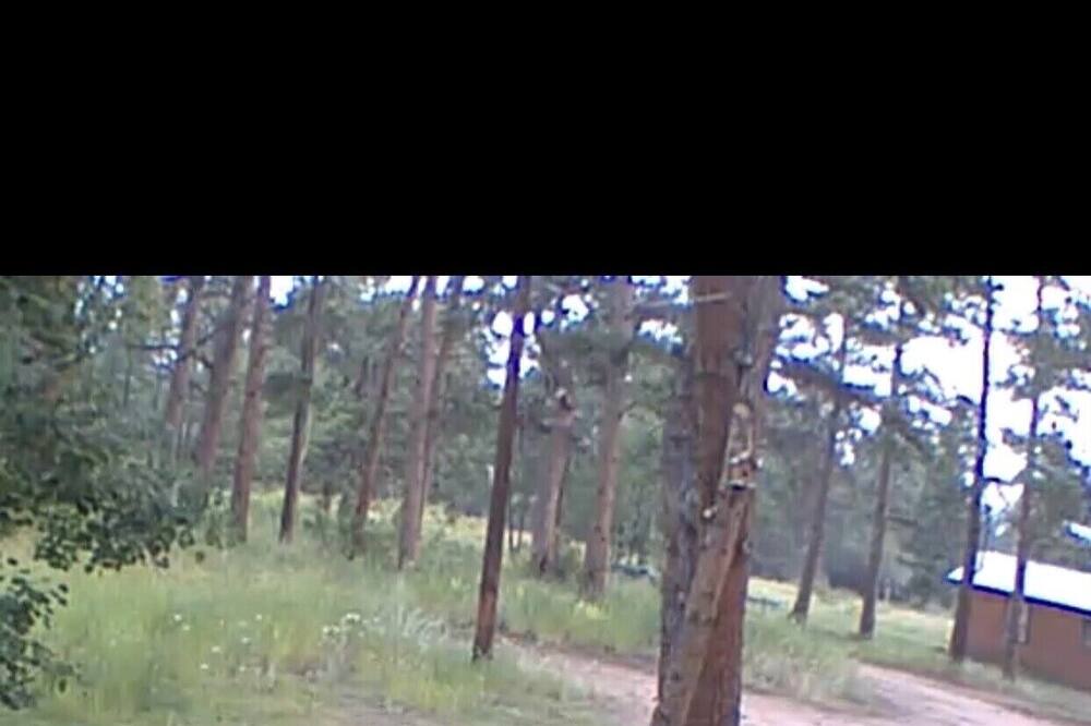 Photo of Outdoor in Red Feather Lakes