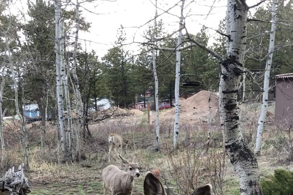 Photo of Outdoor in Red Feather Lakes