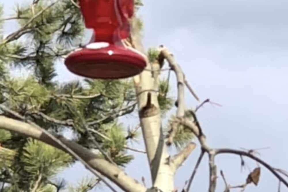 Photo of Others in Red Feather Lakes