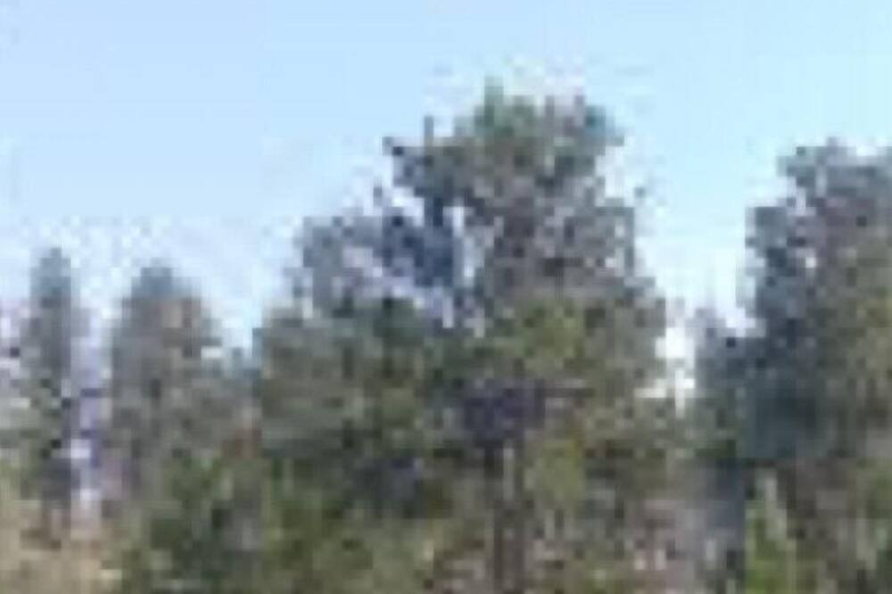 Photo of Outdoor in Red Feather Lakes