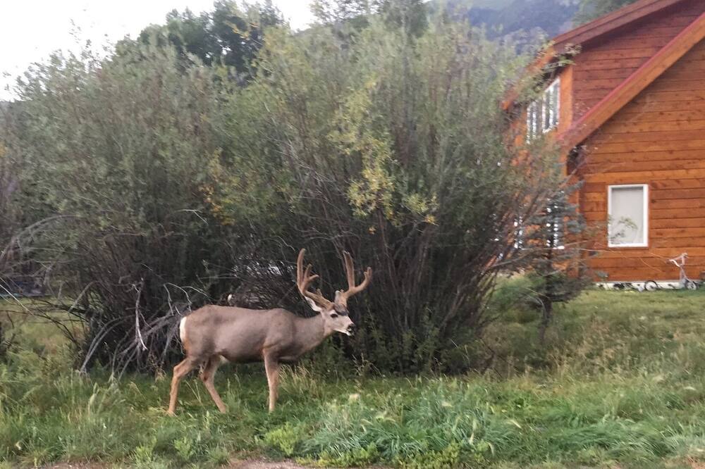 Photo of Outdoor in Lake City