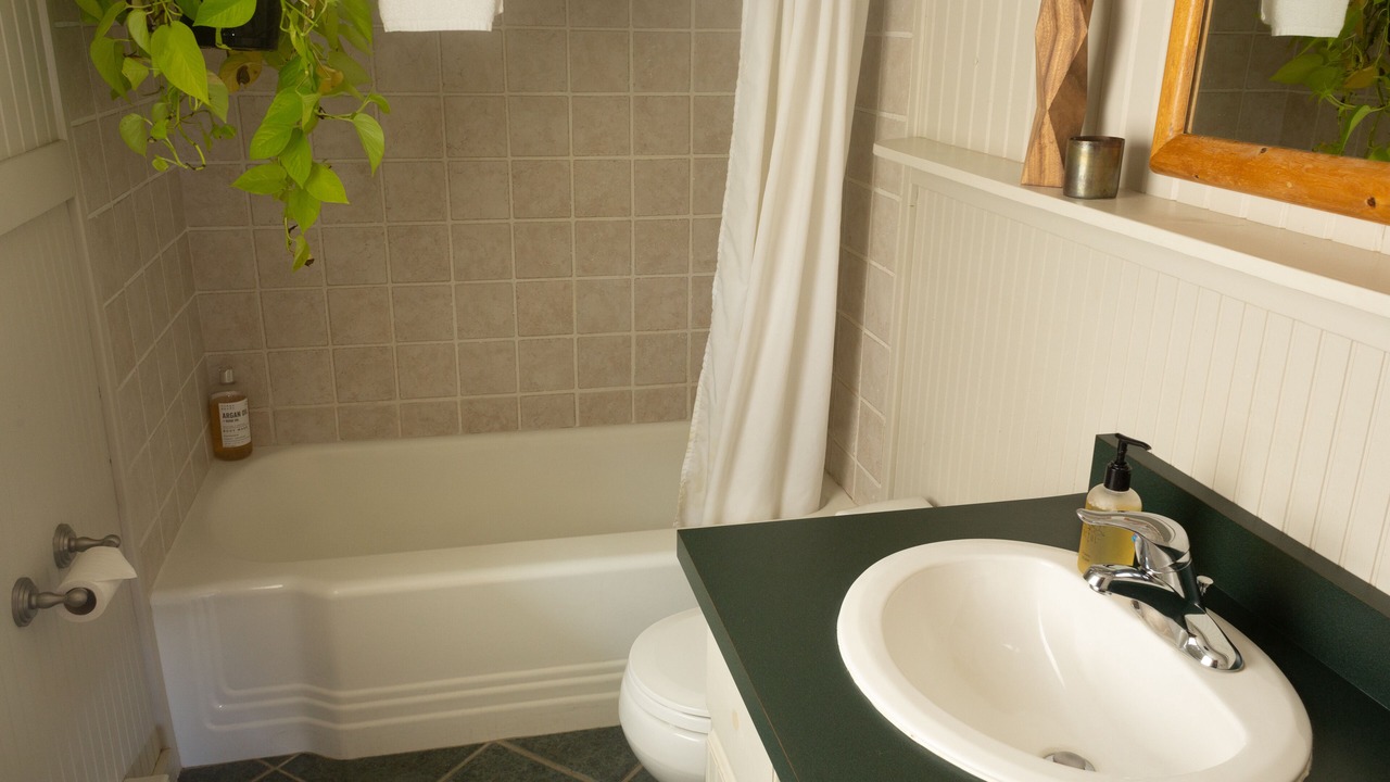 Photo of Bathroom in Pitkin County