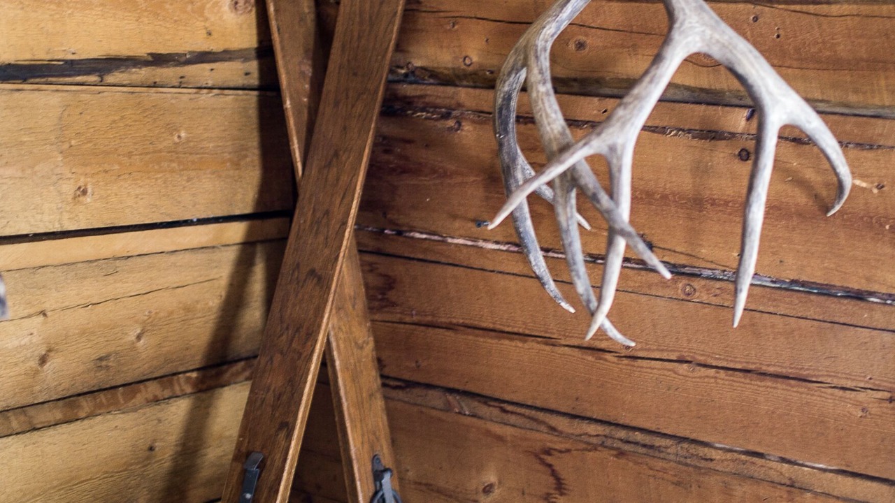 Photo of Others in Pitkin County