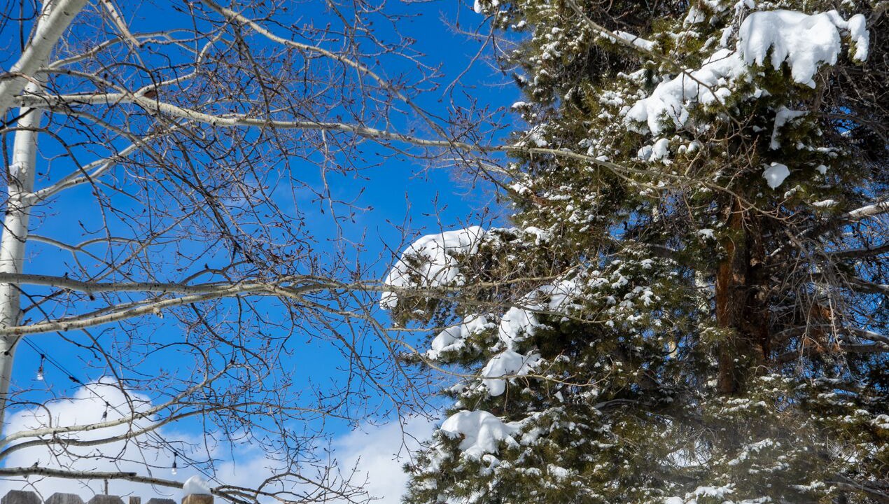 Photo of Outdoor in Pitkin County